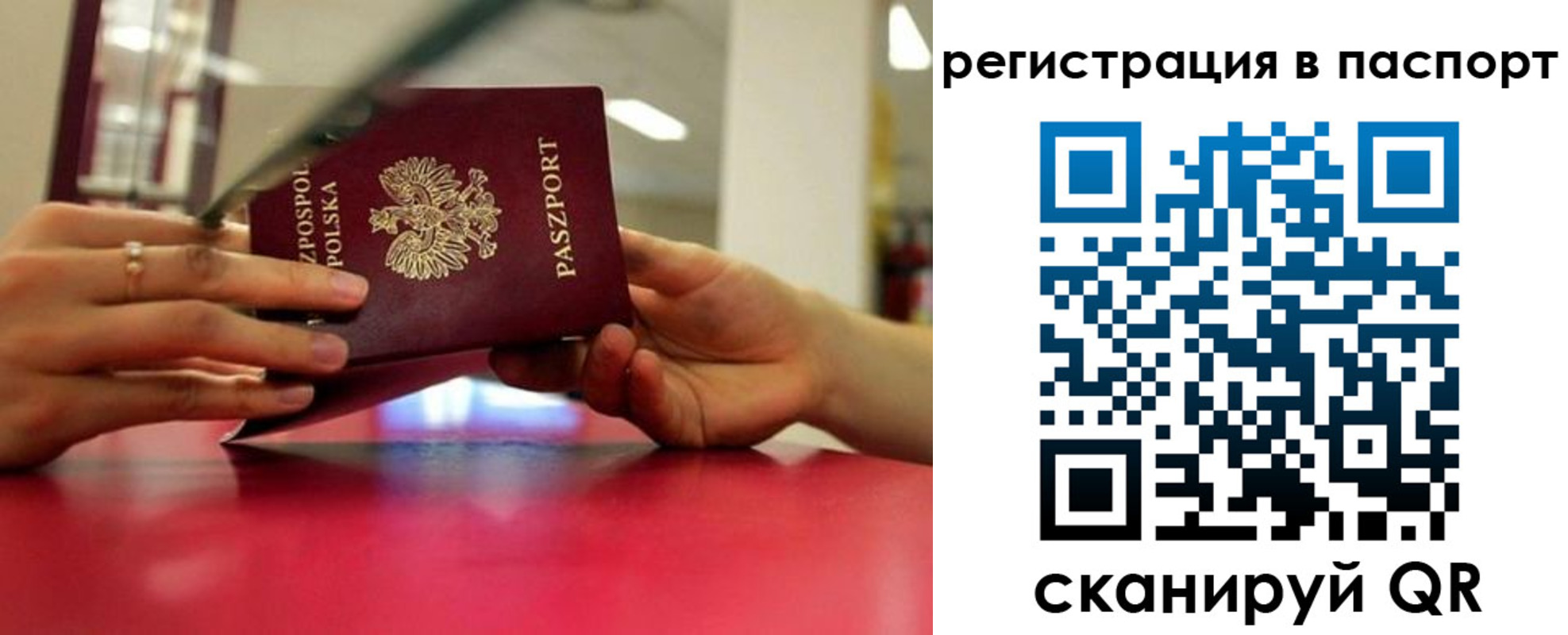 пропишу в квартире в Калининграде